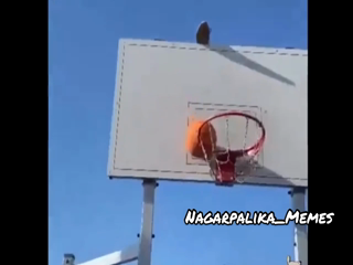Funny Videos That Make Your Weekend Hilarious